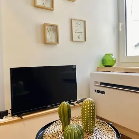 Apartment Studio Cosy Grenoble