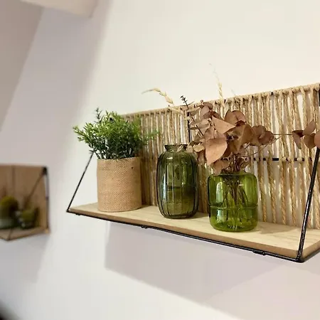 Studio Cosy Lägenhet